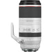 Lente Canon RF 100-500 mm f/4.5-7.1L IS USM Canon