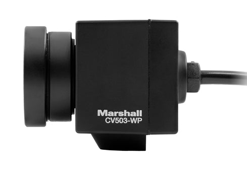 Cámara Miniatura Marshall CV503-WP Marshall